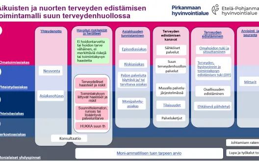 Aikuisten ja nuorten terveyden edistämisen toimintamalli suun terveydenhuollossa