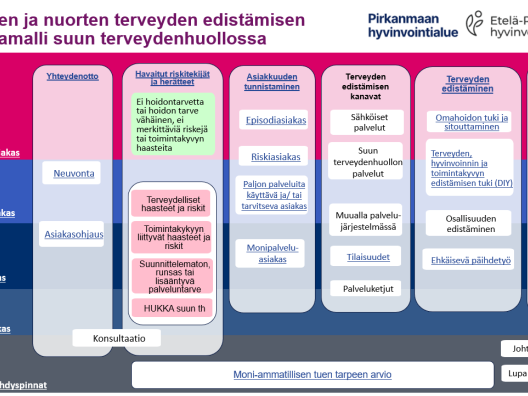 Aikuisten ja nuorten terveyden edistämisen toimintamalli suun terveydenhuollossa