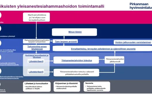 Pirkanmaan hyvinvointialueen aikuisväestön yleisanestesiahammashoidon toimintamalli
