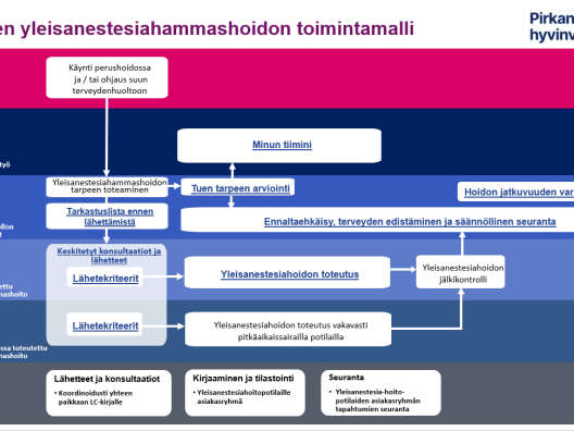 Pirkanmaan hyvinvointialueen aikuisväestön yleisanestesiahammashoidon toimintamalli