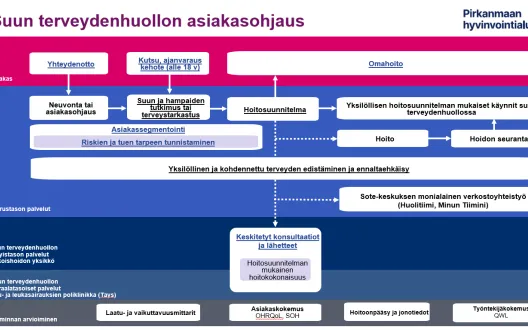 Suun terveydenhuollon asiakasohjauksen toimintamalli