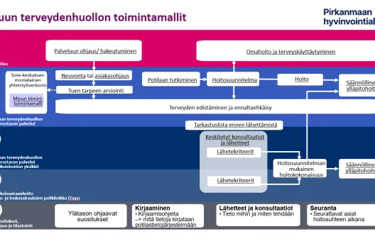 Suun terveydenhuollon toimintamallit