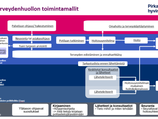 Suun terveydenhuollon toimintamallit