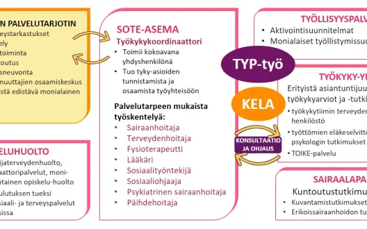 Työkykykoordinaattori toimii sote-aseman kokoavana yhdyshenkilönä tehdessä yhteistyötä sote-aseman, työllisyyspalveluiden ja työkyky-yksikön välillä.