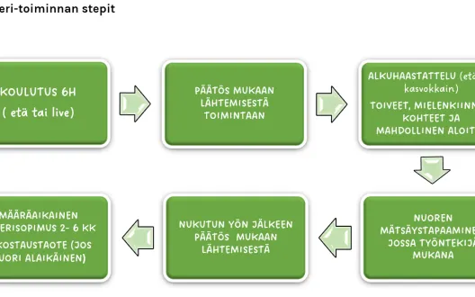 Kaveritoiminnan stepit