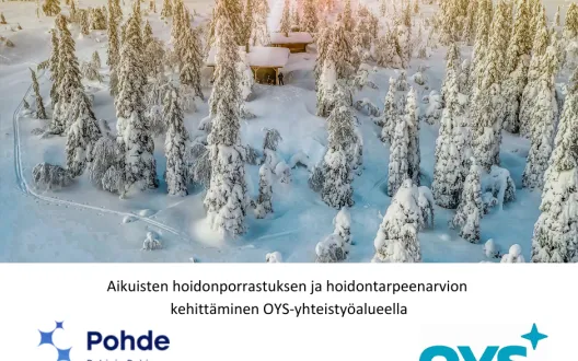 Aikuisten hoidonporrastuksen ja hoidontarpeenarvion kehittäminen OYS-yhteistyöalueella