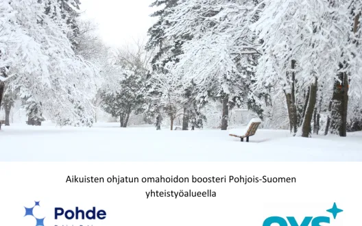 Aikuisten ohjatun omahoidon boosteri Pohjois-Suomen yhteistyöalueella