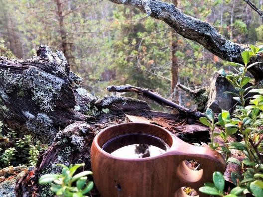 Kuksa Kuusamon luonnossa