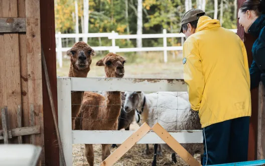 Ikääntyneiden sosiaalisen kuntoutuksen toimintaa