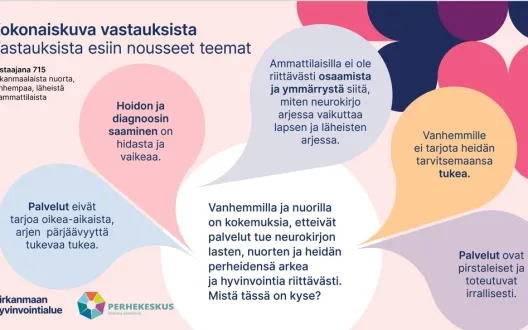 Kokonaiskuva nepsy-tuen haasteista