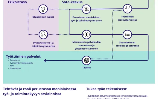 Kuvaus työttömien työ- ja toimintakyvyn arvioinnin hoito- ja palveluketjusta sote-keskuksessa Lapin hyvinvointialueella 
