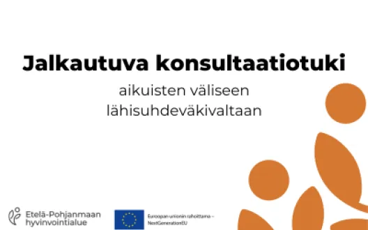 Jalkautuva konsultaatiotuki aikuisten väliseen lähisuhdeväkivaltaan