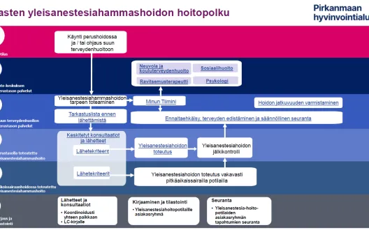Lasten yleisanestesiahammashoidon hoitopolku