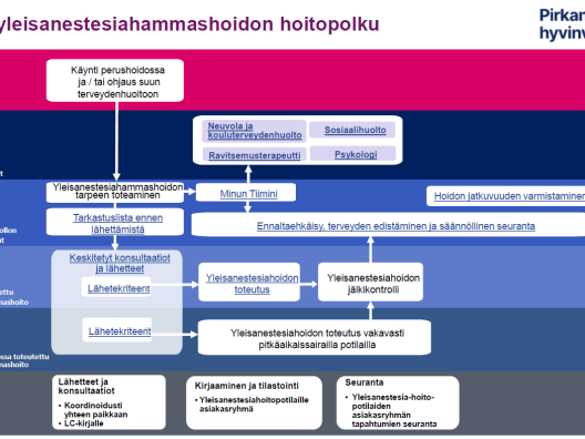 Lasten yleisanestesiahammashoidon hoitopolku