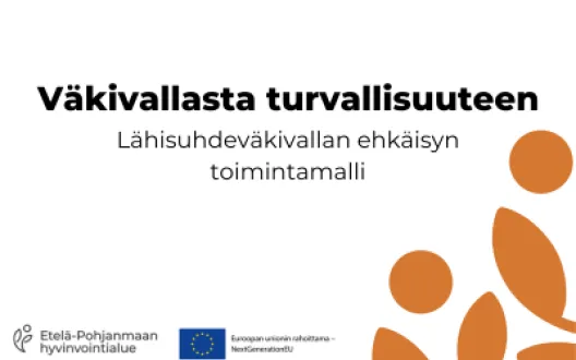 Väkivallasta turvallisuuteen - Lähisuhdeväkivallan ehkäisyn toimintamalli