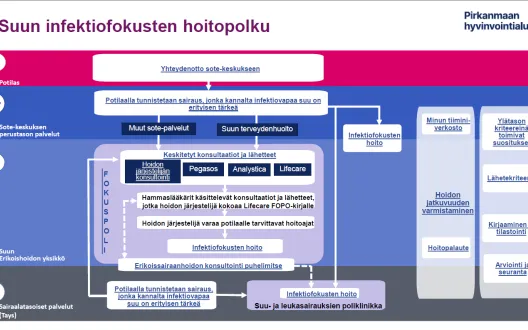 Suun infektiofokussaneerauksen hoitopolku