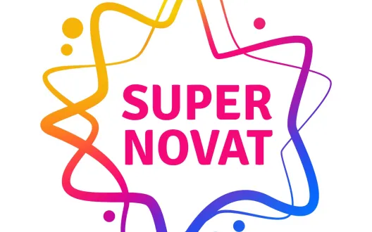 Supernovat logo