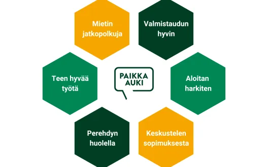 Kuusi kuusikulmiota ympyrämuodostelmassa. Jokaisessa kuusikulmiossa lukee malliin liittyvän yhden aihealueen nimi. Keskellä Paikka auki -logo.