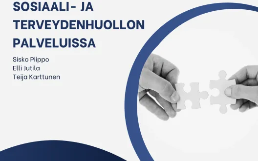 Opas rikostaustaisten naisten parissa tehtävään työhön sosiaali- ja terveydenhuollon palveluissa