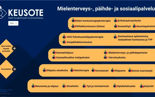Työikäisten mielenterveys-, päihde- ja sosiaalipalvelut