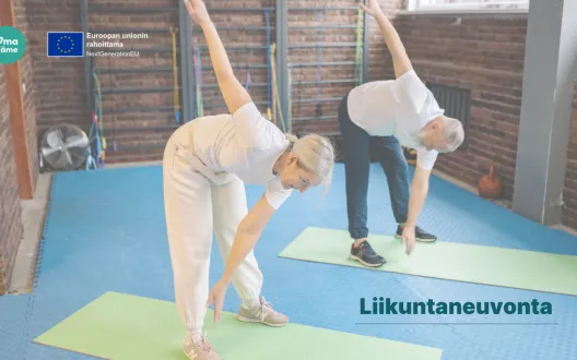 Liikuntaneuvonta