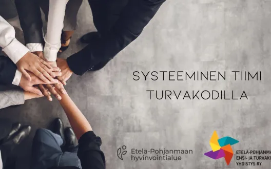 Systeeminen tiimi turvakodilla