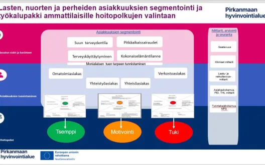 Lasten, nuorten ja perheiden asiakkuuksien segmentointi suun terveydenhuollossa ja työkalut hoitopolkujen valintaan