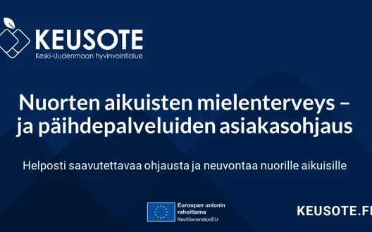 Nuorten aikuisten mielenterveys – ja päihdepalveluiden asiakasohjaus, Helposti saavutettavaa ohjausta ja neuvontaa nuorille aikuisille