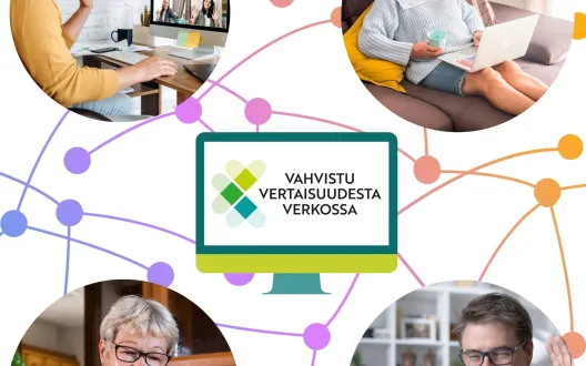 opas selkäyhdistysten verkkovertaistukiryhmien toteuttamiseen