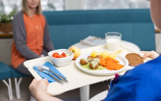 Ravitsemusohjauksen – ja hoidon johtamismalli osana HYTE johtamismallia