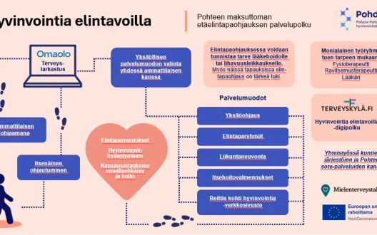 Työikäisten elintapaohjauksen toimintamalli