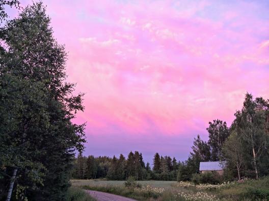 Polku auringonlaskussa