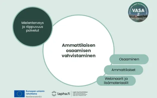 Ammattilaisen osaamisen vahvistaminen