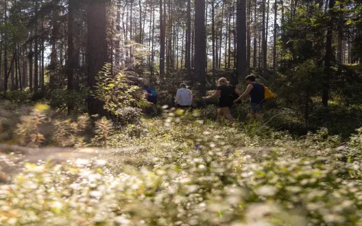 https://www.rautavaara.fi/tyotajahyvinvointia/