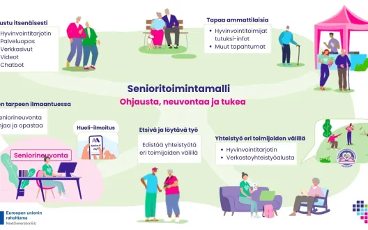 Senioritoimintamallin toimenpiteet.