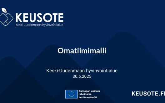 Omatiimimalli