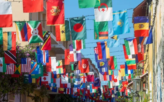 Luis Desiro / Unsplash /Flags