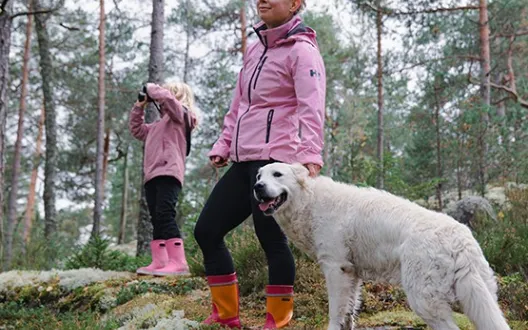 Nainen, lapsi ja koira luonnossa. Kuvituskuva