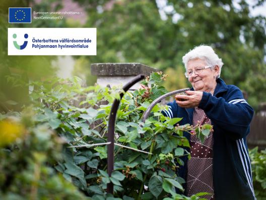 Oppilaitos- ja verkostoyhteistyön kehittäminen ja substanssitietoisuuden lisääminen
