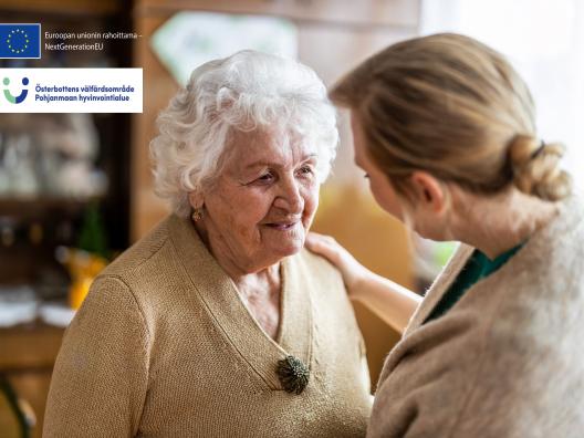 Perhehoidon mahdollisuudet ikääntyneille Pohjanmaan hyvinvointialueella – kartoitus ja toiminnan käynnistäminen