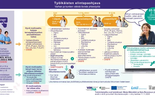 Elintapaohjaus-liikuntaneuvonnan toimintamalli syksy 2025