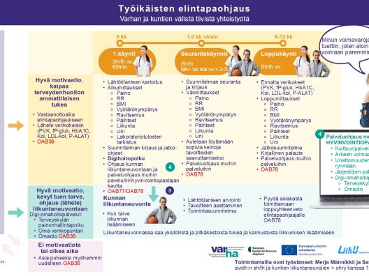 Elintapaohjaus-liikuntaneuvonnan toimintamalli syksy 2025