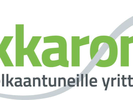 Konkkaronkka. Tukea ylivelkaantuneille yrittäjämiehille.