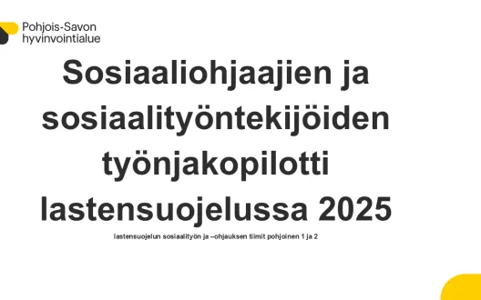 Sosiaaliohjaajien ja sosiaalityöntekijöiden työnjakopilotti lastensuojelussa 2025