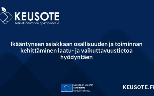Ikääntyneen asiakkaan osallisuuden ja toiminnan kehittäminen laatu- ja vaikuttavuustietoa hyödyntäen