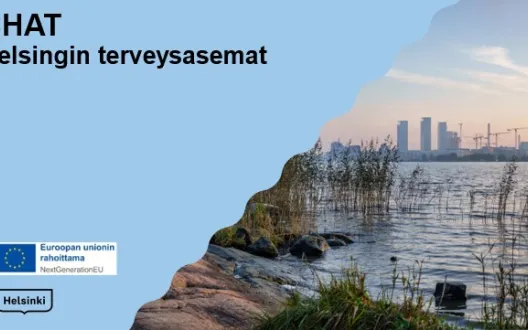Terveysasema-chat, Kestävä kehitys, Helsingin kaupunki