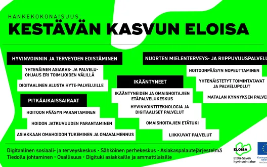 Infograafi Eloisan Kestävän kasvun Eloisa-hankkeesta