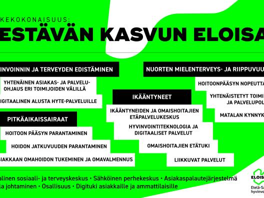 Infograafi Eloisan Kestävän kasvun Eloisa-hankkeesta