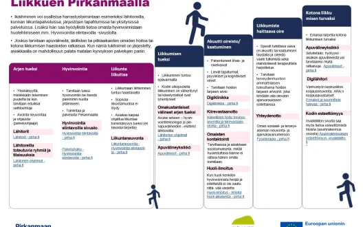 Liikkumisen tuen portaat Pirkanmaan sote-ammattilaisille ohjaustyön tueksi