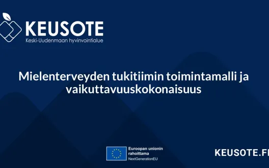 Mielenterveyden tukitiimin toimintamalli ja vaikuttavuuskokonaisuus